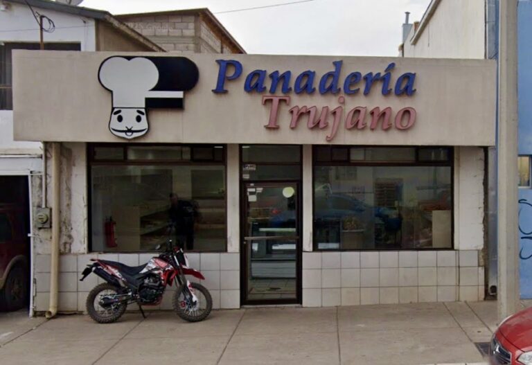 Imagen 07 11 25 a las 12.37 p.m 768x527